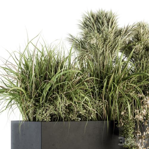 Outdoor Plants tree in Plant box - Set 124