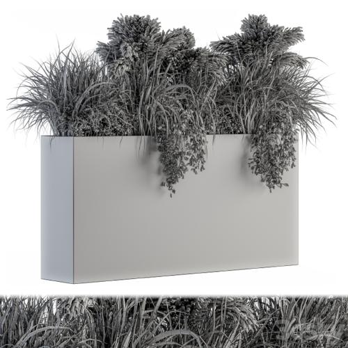 Outdoor Plants tree in Plant box - Set 124