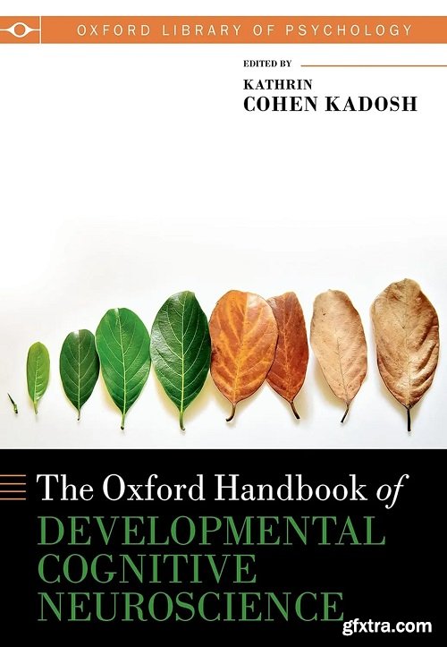 Oxford Handbook of Developmental Cognitive Neuroscience