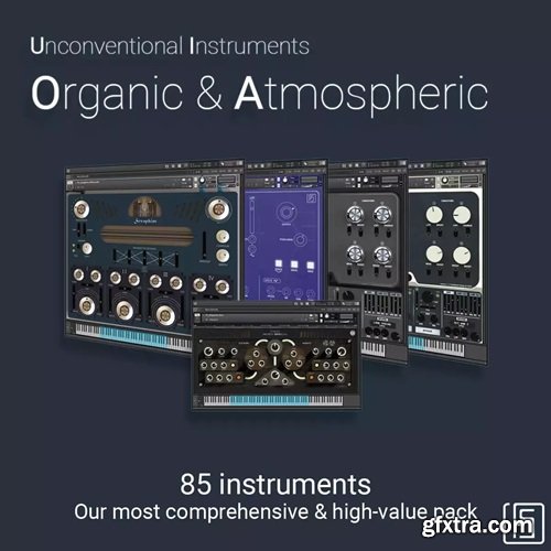 FluidShell Design Organic & Atmospheric Bundle