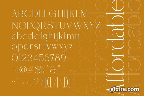 Coefficient Modern & Elegant Serif Family ZX2DLJ4