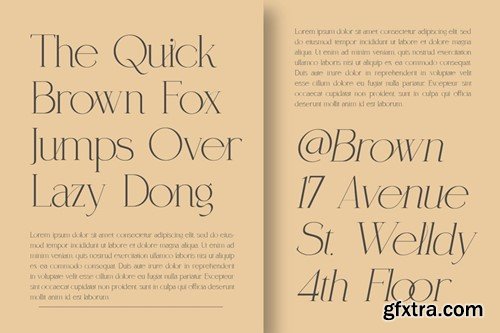 Coefficient Modern & Elegant Serif Family ZX2DLJ4