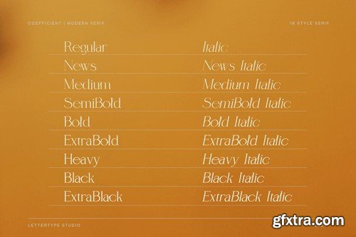 Coefficient Modern & Elegant Serif Family ZX2DLJ4