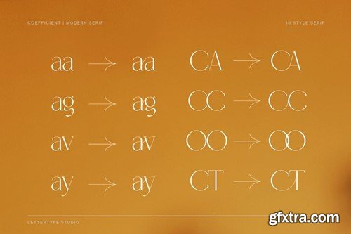 Coefficient Modern & Elegant Serif Family ZX2DLJ4