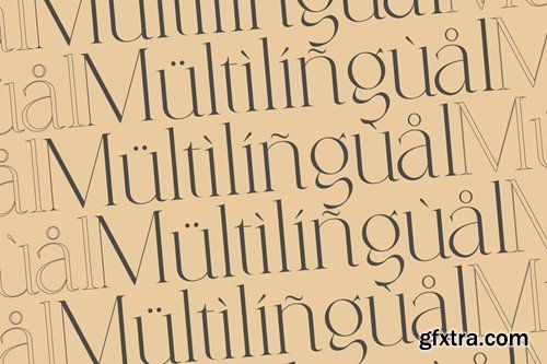 Coefficient Modern & Elegant Serif Family ZX2DLJ4