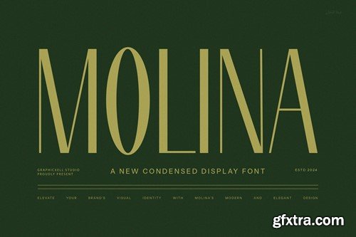 Molina Modern Sans Serif Font 9P7HUR4