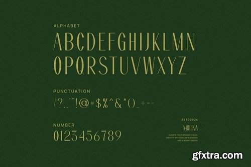 Molina Modern Sans Serif Font 9P7HUR4