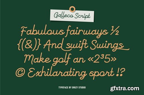 Galleco Script – Monoline Cursive Display Font A6FWSEH