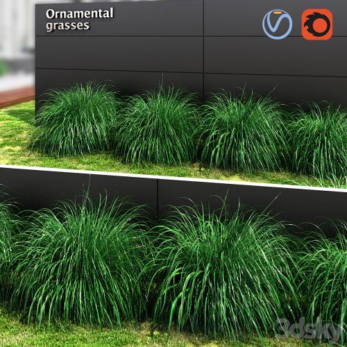 Ornamental grass ball