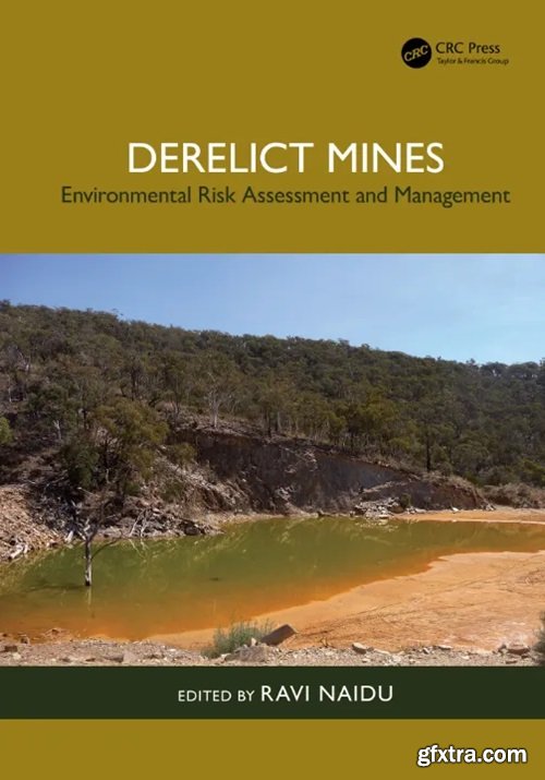 Derelict Mines: Environmental Risk Assessment and Management