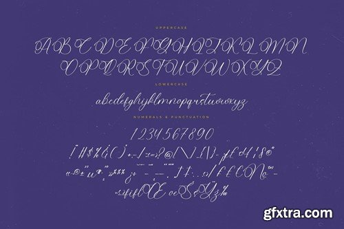 Belati Sophia Modern Script QNLJ44J