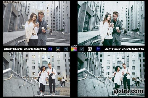 Artistic Grey Mood Preset Luts Video Premiere Pro 9D23KAX