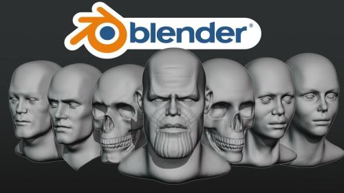 Udemy - Noob's Guide to Head sculpting in Blender