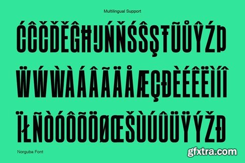 Norguba - Versatile Display Sans Serif Font S2HAJ3E