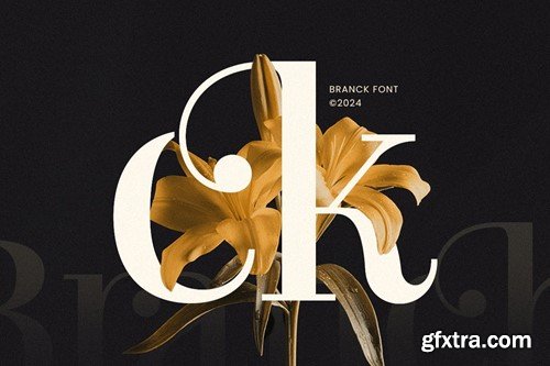 Branck - Modern Luxury Logo Font 5TNLY3Q