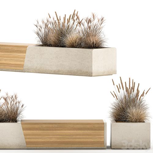 Bench flowerbed for the urban environment in a concrete flowerpot with bushes of reeds and dried flowers, dry grass. 1142.