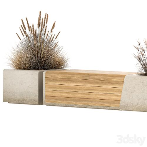 Bench flowerbed for the urban environment in a concrete flowerpot with bushes of reeds and dried flowers, dry grass. 1142.