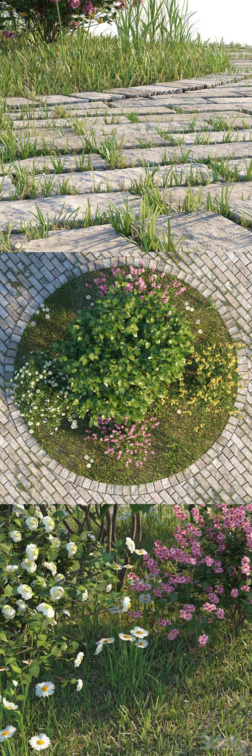 Flowerbed with bushes and grass