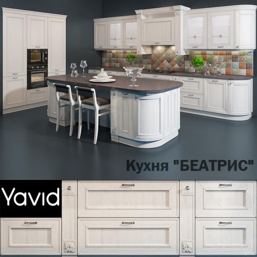 Kitchen Beatrice, the company Yavid