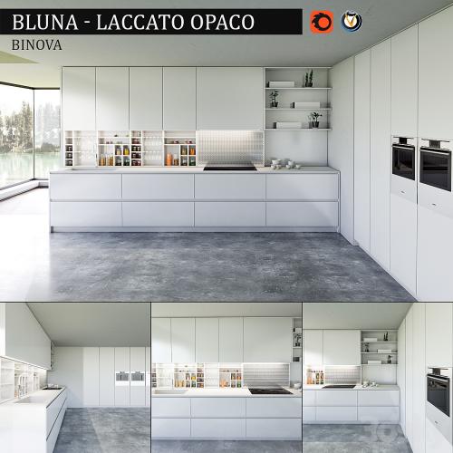 Kitchen Bluna Laccato Opaco