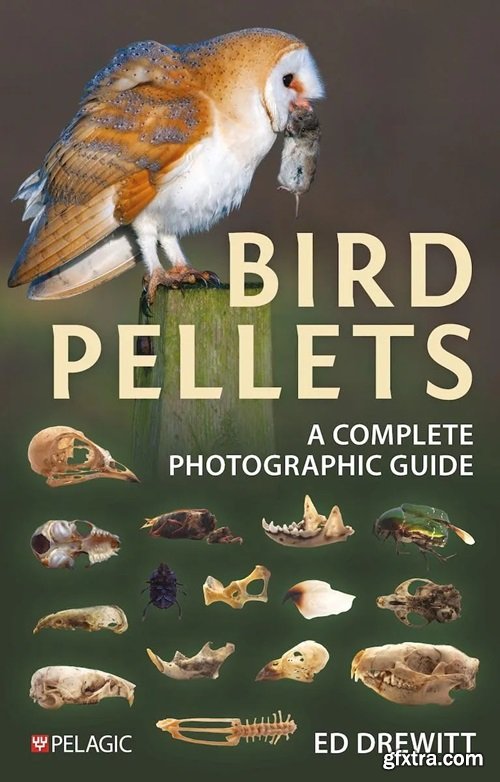 Bird Pellets: A Complete Photographic Guide