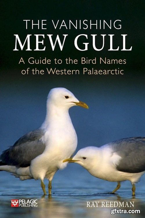 The Vanishing Mew Gull: A Guide to the Bird Names of the Western Palaearctic