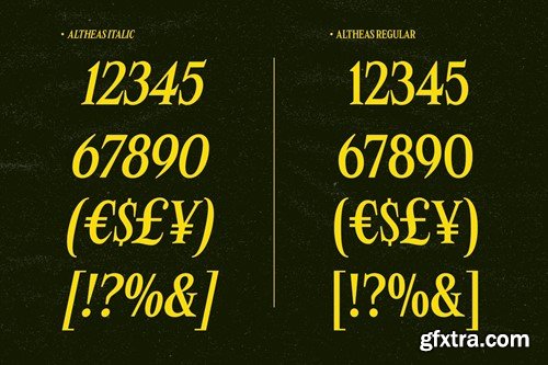 Altheas - Regular and Italic Retro 90s Serif Font LZQJG8F