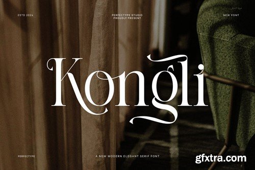 Kongli Modern Ligature Serif Font RLS5UVJ