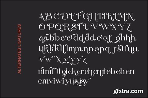 Bettrie Geisya Modern Serif Typeface 3PSME3X