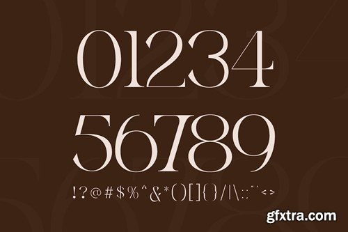 Basheq Vintage - Modern Serif Logo Font LP4P34F