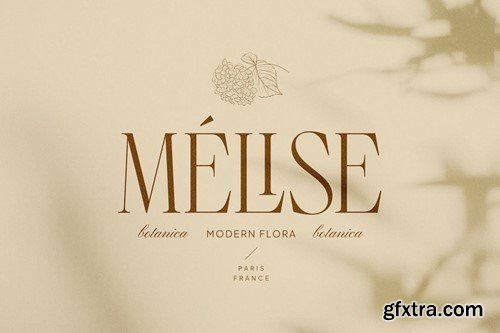 Gebissya - Elegant & Classy Serif VAL88YD