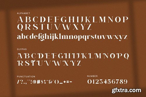 Megist Elegant Serif Font D3F8RJ3