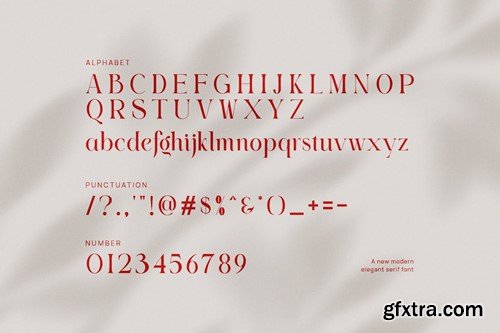 Miglit Elegant Serif Font J5TQD2H