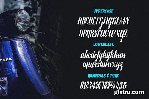 Handbird Script Font FUN7YM5