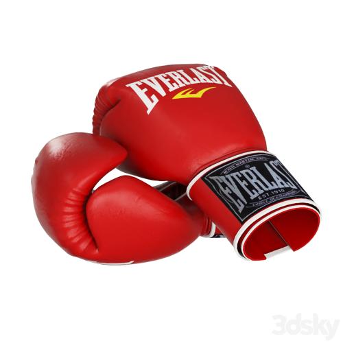 Boxing Equipment