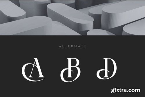 Aloozora - Elegant Display Serif Font ZX7CMLC