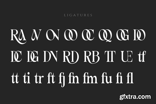 Aloozora - Elegant Display Serif Font ZX7CMLC