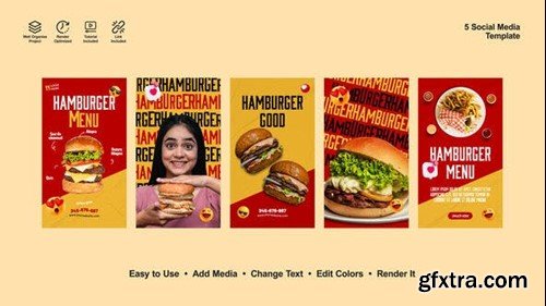 Videohive Burger Instagram Stories 53671833