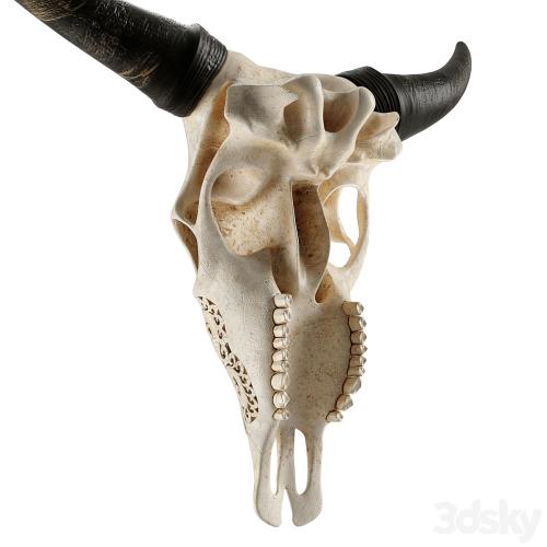 Carved cow skull