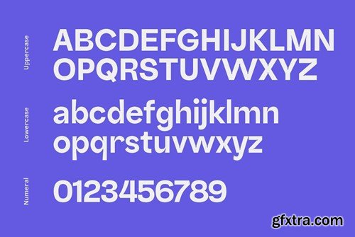 Nomixa Sans Serif Family Q6BAVRF