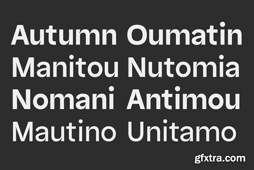 Nomixa Sans Serif Family Q6BAVRF