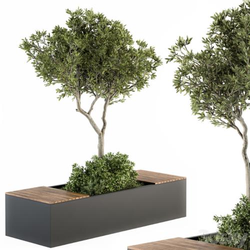 Urban Furniture / Architecture Bench with Plants- Set 23