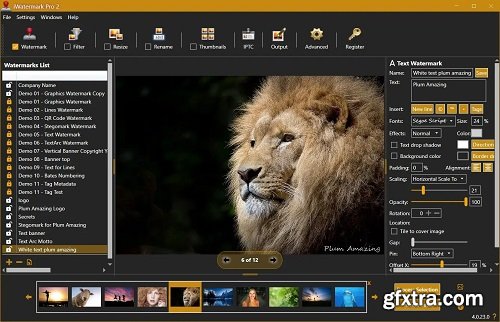 iWatermark Pro 2 v4.0.33