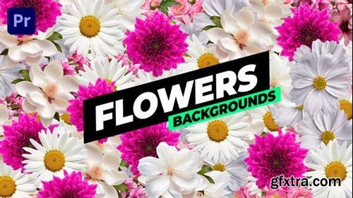 Videohive Flowers Backgrounds 53769761