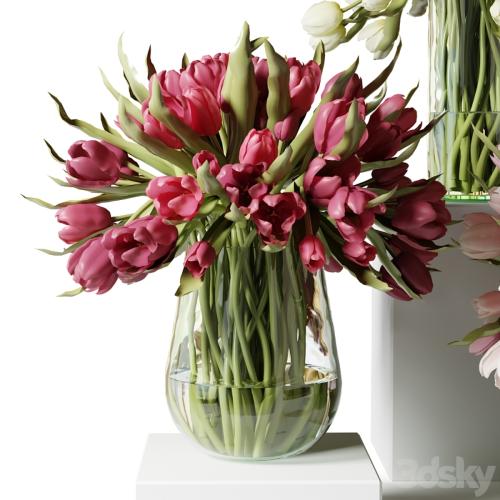 Red, pink and white tulips in glass vases