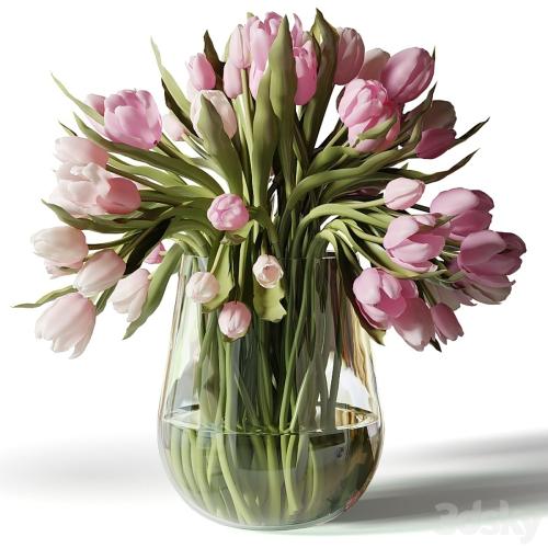 Red, pink and white tulips in glass vases