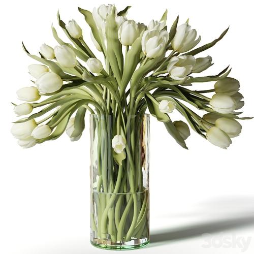 Red, pink and white tulips in glass vases