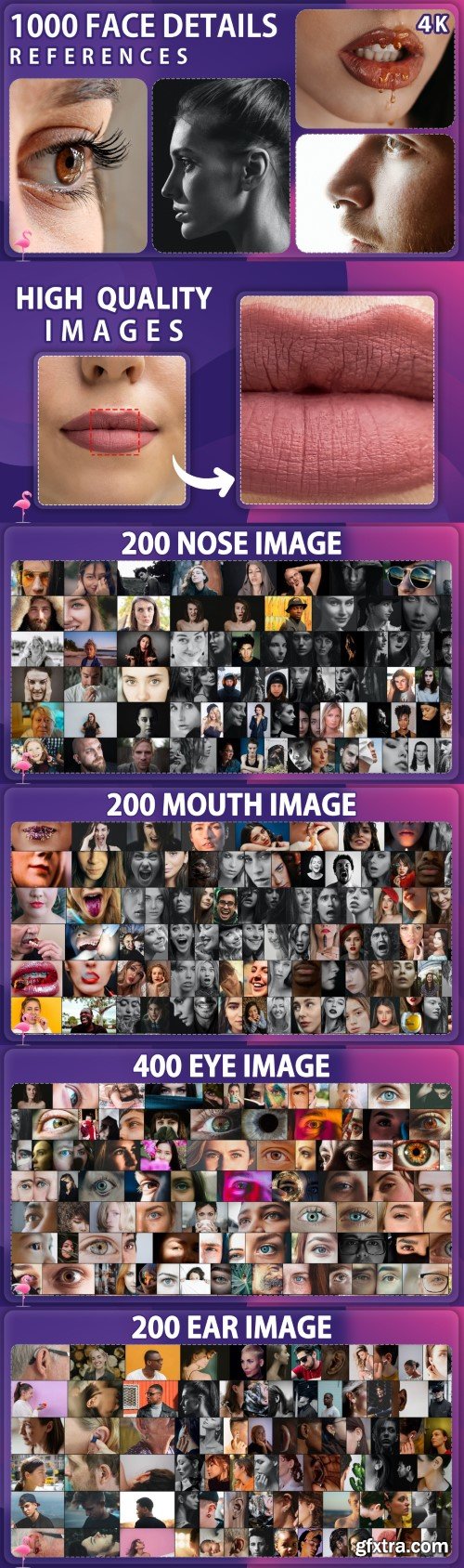 1000 Eye & Mouth & Nose & Ear Image Reference Pack