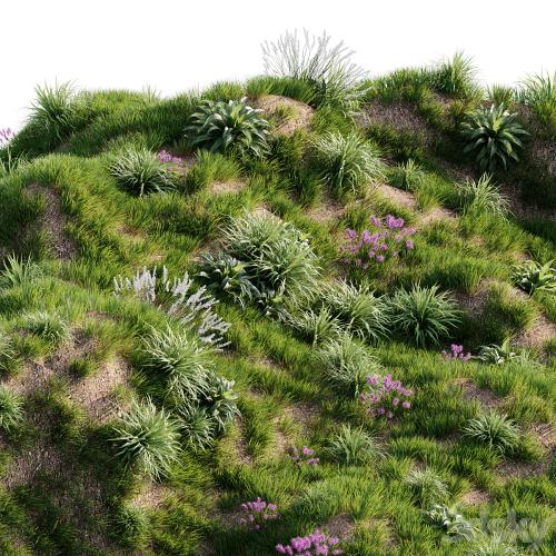 Grass on the slope