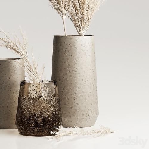 Dried Pampas Plant in Vases